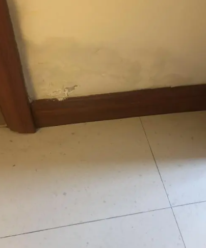 惠州卫生间免砸砖防水.png