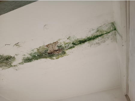 增城屋顶墙面防水.png
