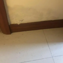 惠州卫生间免砸砖防水